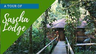 A Tour Of Sacha Lodge - Ecuador Amazon