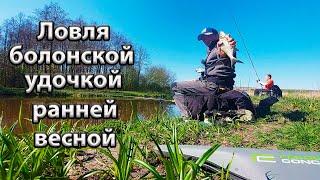 Ловля подлещика на болонскую удочку ранней весной.
