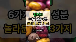감자의 6가지 영양 성분 놀라운 효능 3가지 #건강정보 #건강 #감자 #효능 #영양성분