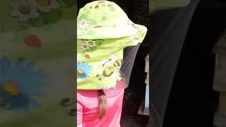 Пчеловодство