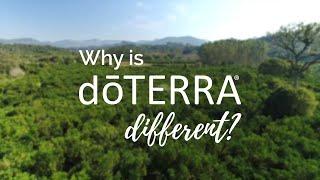 Why is doTERRA Different? (Translated Subtitles)
