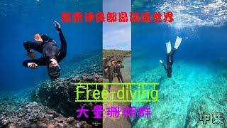 【宮古島中集】Free-diving探索伊良部島海底世界，發現大量海洋生物與珊瑚群/中英文字幕Chinese and English subtitles