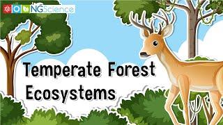 Temperate Forest Ecosystems