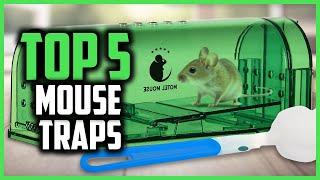 ▶️ The 5 Best mouse traps in 2024