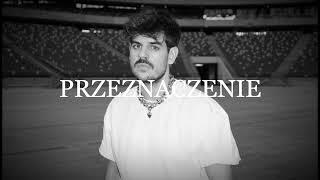 [FREE] TACO HEMINGWAY x DARIA ZAWIAŁOW TYPE BEAT - "PRZEZNACZENIE"