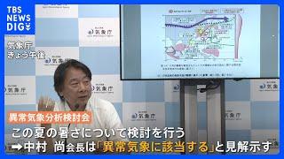 今夏の暑さも「異常気象」　異常気象分析検討会会長が見解｜TBS NEWS DIG