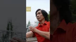 Bak Mei kungfu