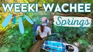 Weeki Wachee Springs State Park, Florida - Paddle Boarding Adventure