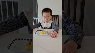 30개월아기 계란말이 먹방 30 month old baby rolled omelet mukbang eating show