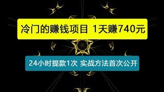 1天赚740元，24小时提款1次，冷门项目，实战方法公开