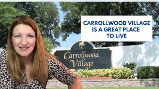 Carrollwood Village