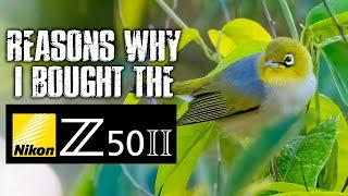 Reasons WHY I Bought The Nikon Z50II