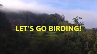 Let’s Go Birding / Jom Memburung