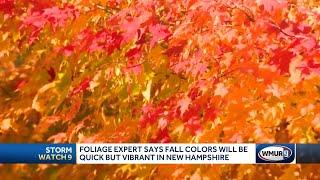 Vibrant foliage season in NH expected this year