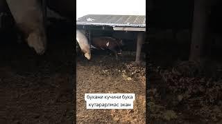 11 мая 2025 г.