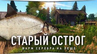 Старый Острог • Точка на Леща • Русская Рыбалка 4