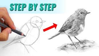 Five Key Steps For Successful Pencil Drawing