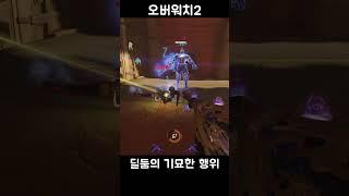 딜러 둠피 버그