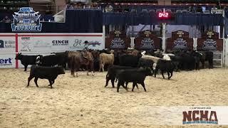 This Kid Can RIDE! 8-Year-Old Competes at NCHA Futurity Unlimited Amateur (full run)