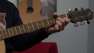 Antonio Giuliani DN-5 Guitar Demo