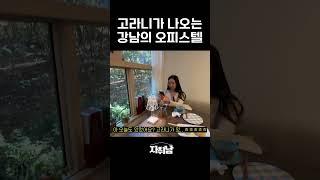 강남에 고라니가 나오는 오피스텔이 있다..? #shorts
