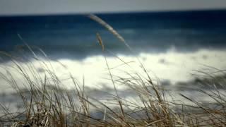 Glass Is Life: Celine Cousteau (English)