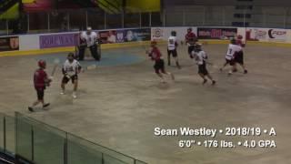 Sean Westley - 2017 Box Lacrosse Highlights