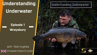 Carp Fishing: Understanding Underwater 1 - How Your Rigs and Baits Look Below The Surface