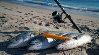 FISH Go NUTS Over This LURE...(Surf Fishing for Giant Bluefish)