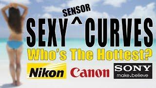  Sexy Sensor Curves Sony Nikon Canon Who's Got The Sexiest Curved Camera Sensors?