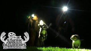 STARK OUTDOORS COMPETITION COON HUNT TUNE UP #shorts #starkoutdoors #coonhunting