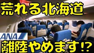 【何があった⁉︎】ANAプロペラ機で高速移動しようと思ったらトラブルに巻き込まれることに...