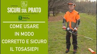 Come usare in modo corretto e sicuro il TOSASIEPI - CONSIGLI PER GIARDINIERI