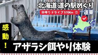 【愛犬と北海道 道の駅スタンプラリー2023・2024／25】道東でアザラシ餌やり体験！自分の手から魚を食べてもらう幸せ🩶話題のアザラシと北海道で会って来よう！日帰り往復570km走る①