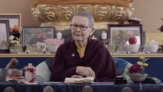 Pema Chödrön on vibes.