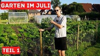 Gartenrundgang & Gartenarbeiten im Juli 1.0