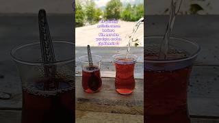 #köydehayat #köy #garden #food #yemektarifleri #doğa #koyvlog #dogal #temizlik #bahçeişleri#çaykeyfi