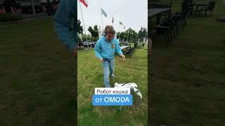 #youtubeshorts #рекомендации #романцев