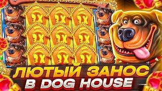 ИГРАЮ В ДОГ ХАУСЫ / СЛОВИЛ БОЛЬШОЙ ЗАНОС В DOG HOUSE / ВЫБИЛ БОНУСКУ ПЕРВЫМ СПИНОМ / MEGAWAYS ТАЩИТ