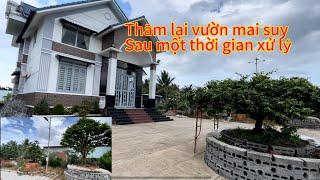 Mai suy không sử lý triệt để thì sẽ không phát triển được ,nhớ nhe ace