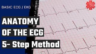 Basic ECG/ EKG Part 2: The Anatomy of the ECG/ EKG & 5-Step Method