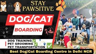 Best Dog/Cat Boarding Centre in Delhi NCR | Grooming | Training | Pet Day Care | Stay Pawsitive |