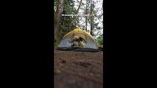 30 seconds of PNW vibes️