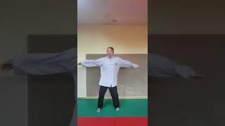 Tai Chi Qi gong #taichi #kungfu #chenstyletaiji #martialarts #qigong #wellness #fitness