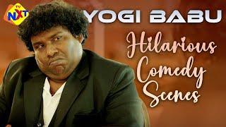 Yogi Babu Hilarious Non Stop Comedy Scenes | Yogi Babu Latest Comedy Scenes | TVNXT Telugu