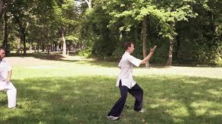 Wudang Sanfengpai Taijiquan 28 Steps Part 5