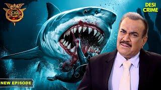 एक खतरनाक Shark ने किया CID Team पर हमला | Best Of CID | TV Serial Latest Episode