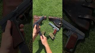 Which Would You Choose | Radom VIS 35 vs Tokarev TT