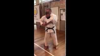 Matt Price karate bear hug escape