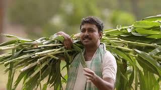 ನೀರಾವರಿ ಯೋಜನೆ - ಭದ್ರಾ ಮೇಲ್ದಂಡೆ, ಕಳಾಸ ಬಂಡೂರಿ, ಕೃಷ್ಣಾ ಮೇಲ್ದಂಡೆ ಕಾಮಗಾರಿಗಳು ಚುರುಕು  (15 Sec) | Karnataka